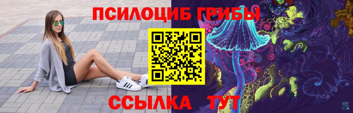 Псилоцибиновые грибы ЛСД  Вход с VPN  Свободный 
