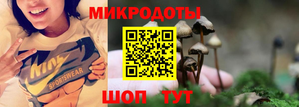 Псилоцибиновые грибы мицелий Свободный
